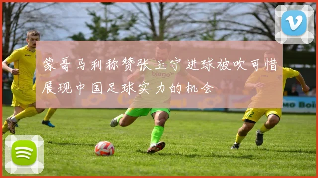 蒙哥马利称赞张玉宁进球被吹可惜展现中国足球实力的机会